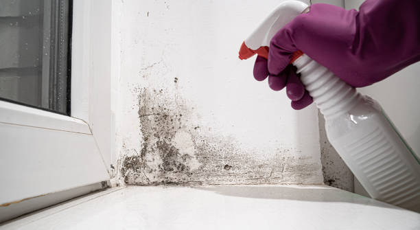 Best Commercial water damage restoration  in Selden, NY